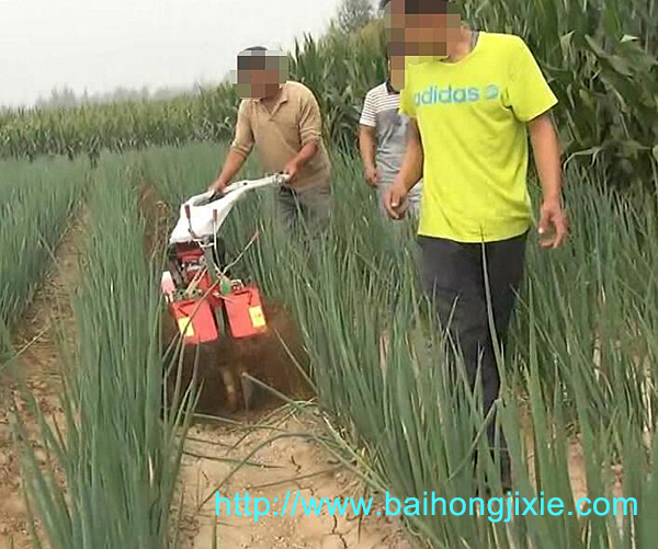 开沟成人午夜福利视频APP在大葱地中的应用